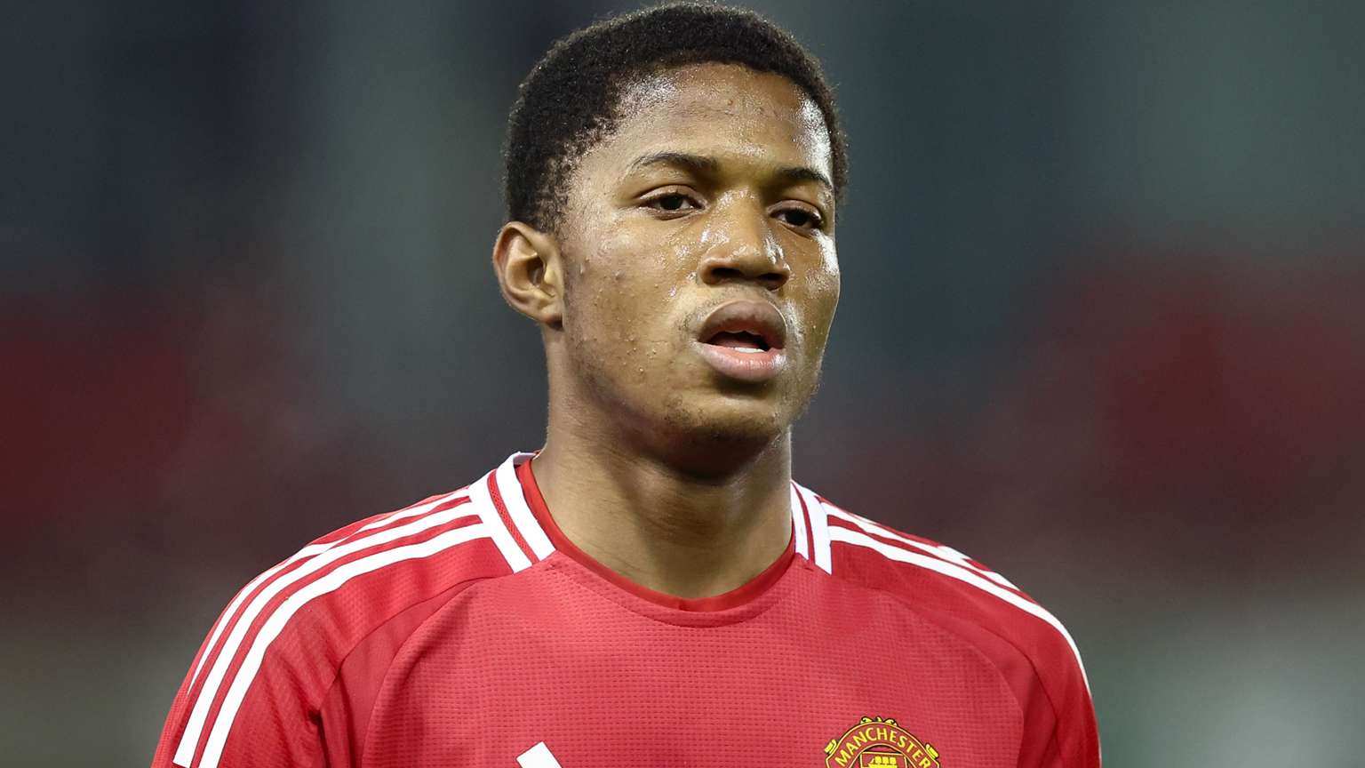 的歷史回顧 的歷史回顧